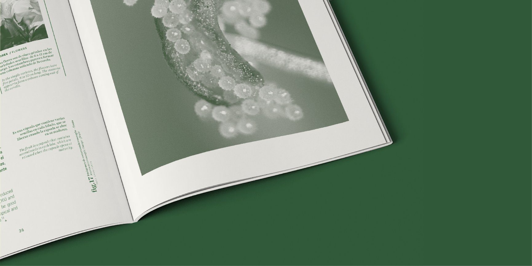 OdD+ Object/Book Is 100% Sustainable And Equally As Gorgeous