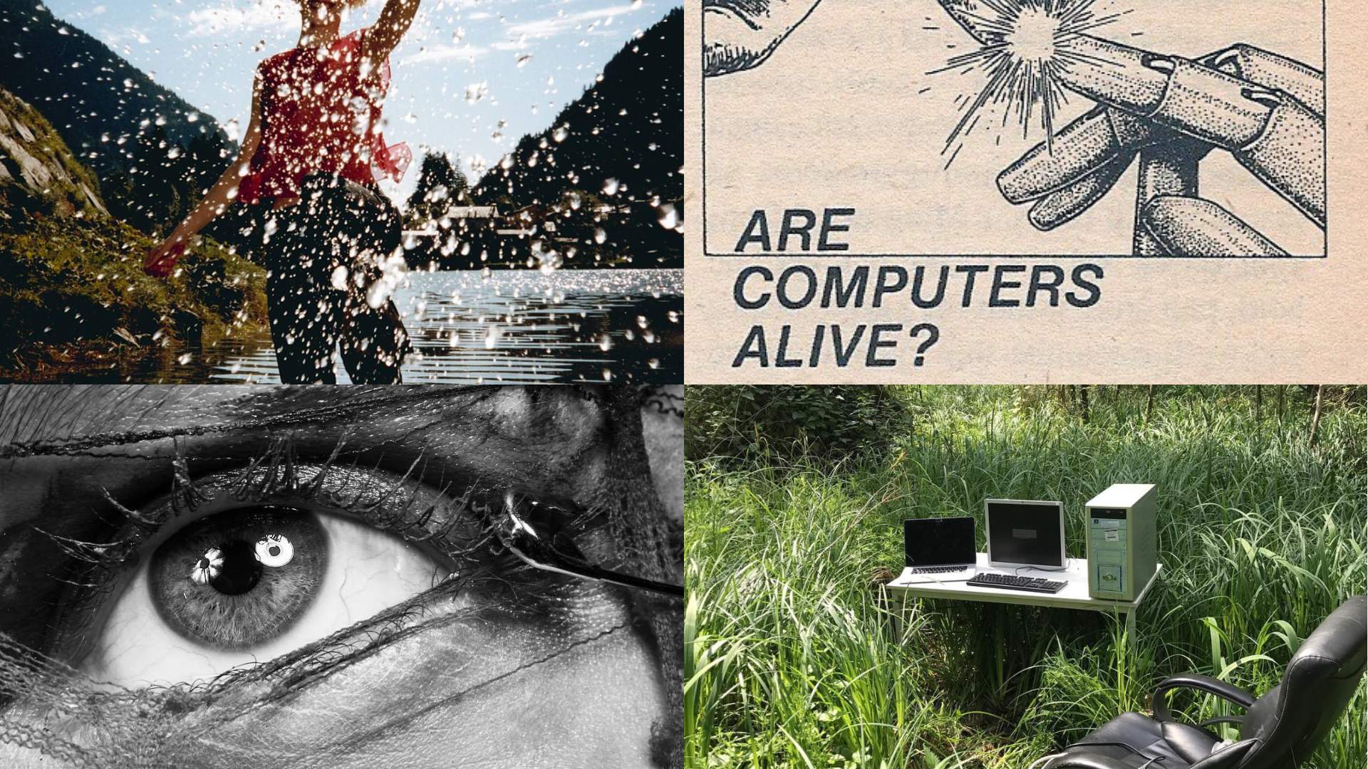 Shelf Life 088: Trend Forecasting, and How It’s Done